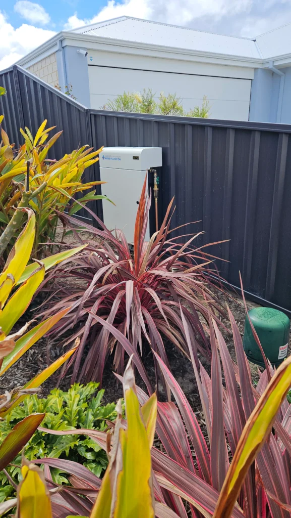 Vortex Pro 3 set among cordylines in a Dunsborough front garden