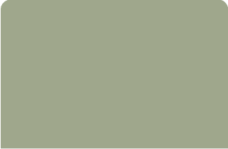 COLORBOND Pale Eucalypt colour swatch