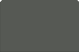 COLORBOND Woodland Grey colour swatch